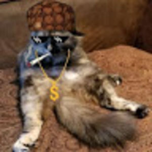 Meet your Posher, Yoann